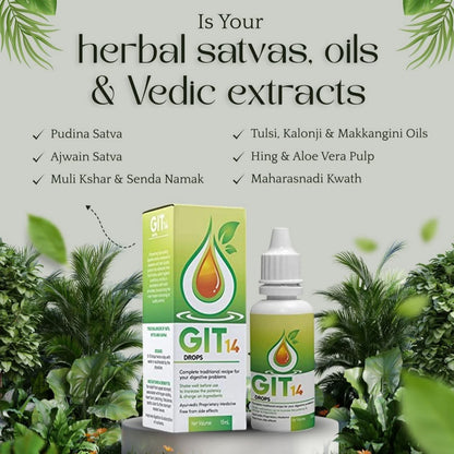 GIT 14™ | Premium Digestive Drops